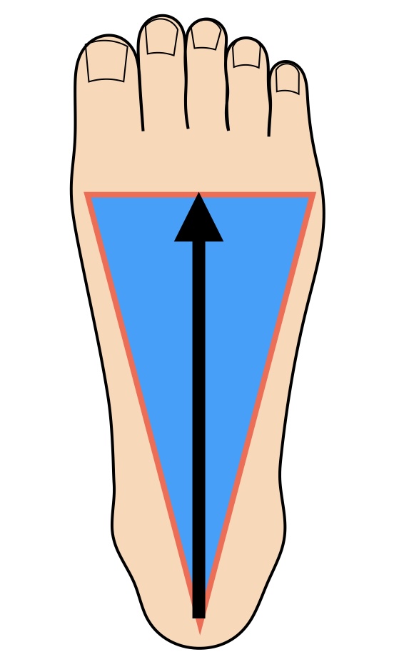 歩行時の重心移動
