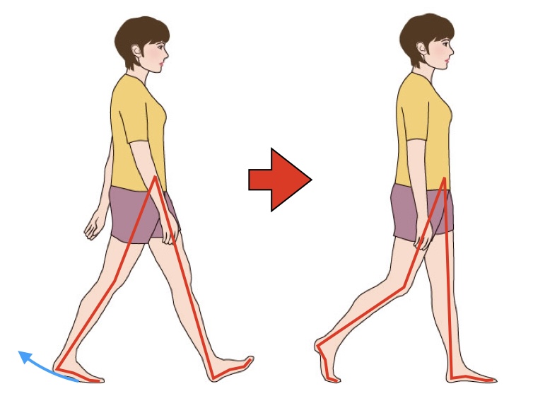 歩行時の足の使い方