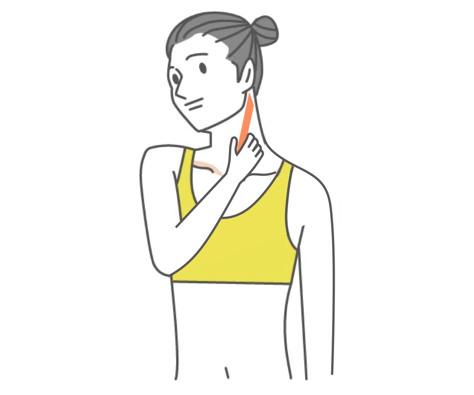 胸鎖乳突筋リリース