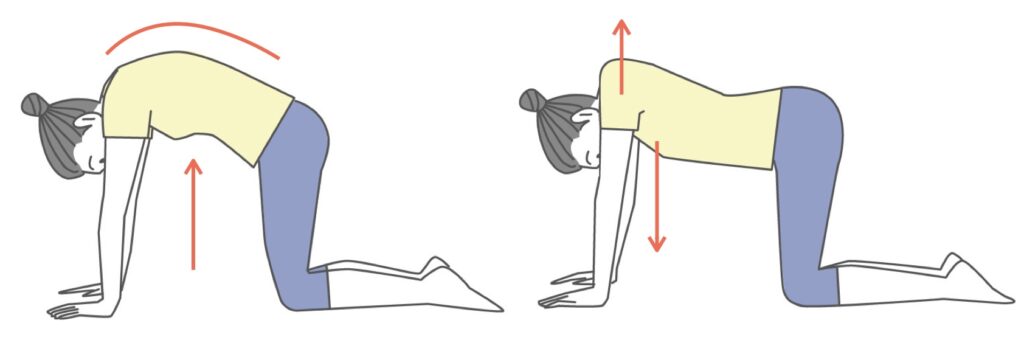 前鋸筋ストレッチ