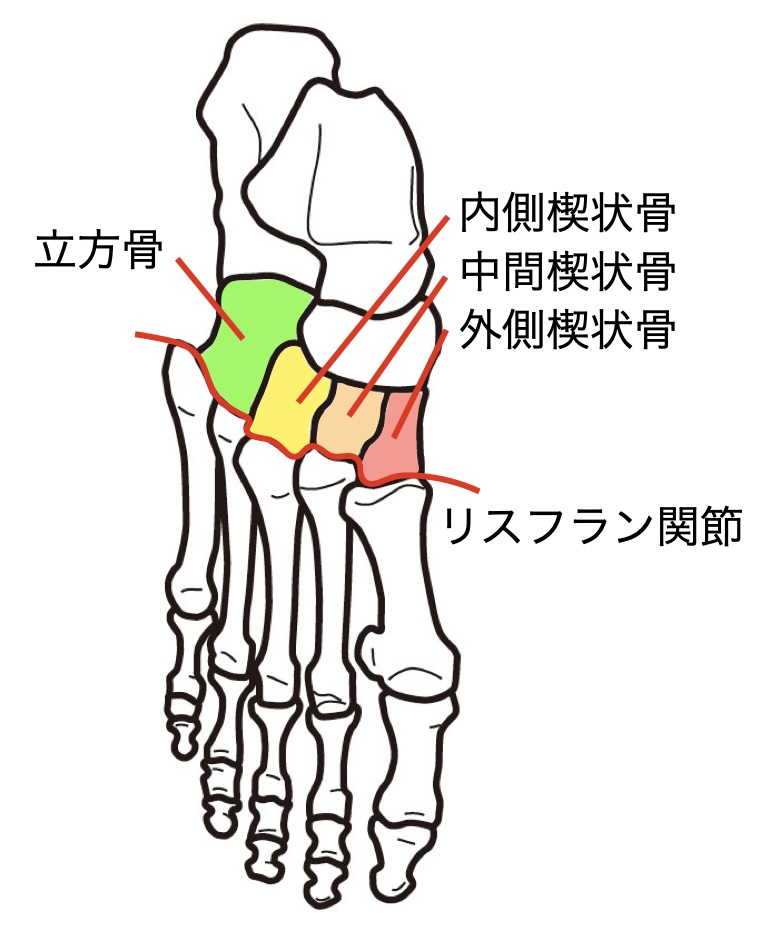 リスフラン関節
